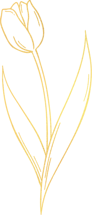 Static Gold Tulip Flower 